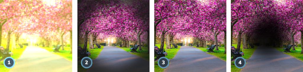 for images of a park path with pink trees portraying different eye conditions