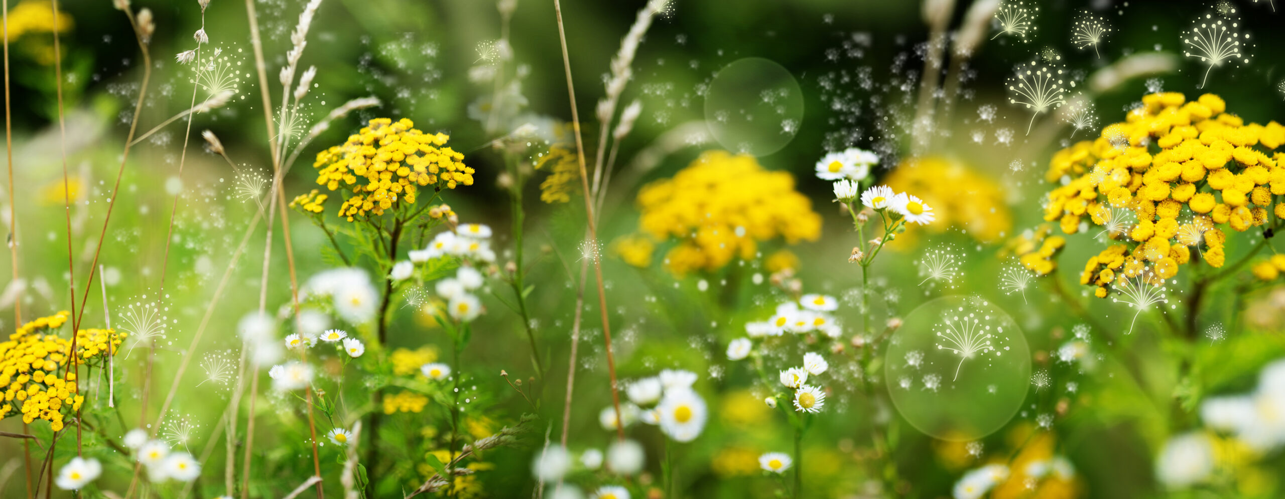 GettyImages 1461640689 2 scaled
