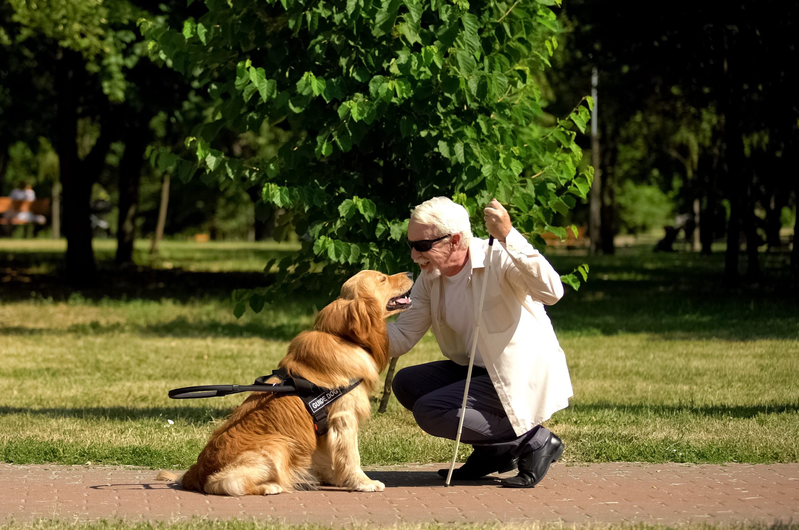 Elderly man pictured with his guide dog